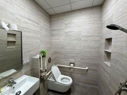 Suites @ Bukit Timah (D21), Shop House #636257951